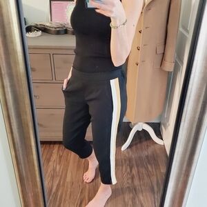 Aritzia Babaton Conan Black Pants Tuxedo Stripe